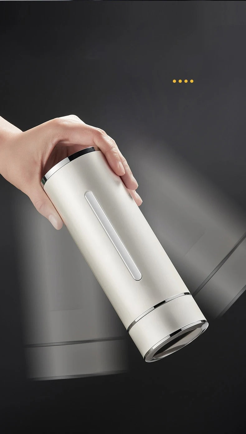 310ml Premium Stainless Steel Thermos with Silver-Plated Liner